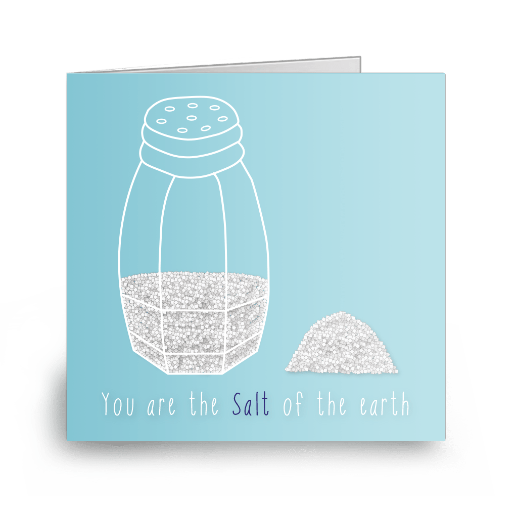 You Are Salt image 1