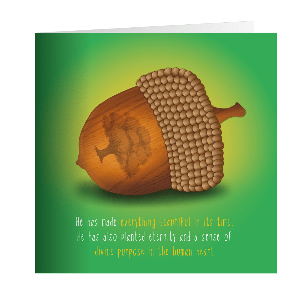 Mega Pack Of Acorns image 2